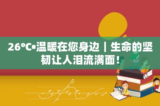 26℃•温暖在您身边｜生命的坚韧让人泪流满面！