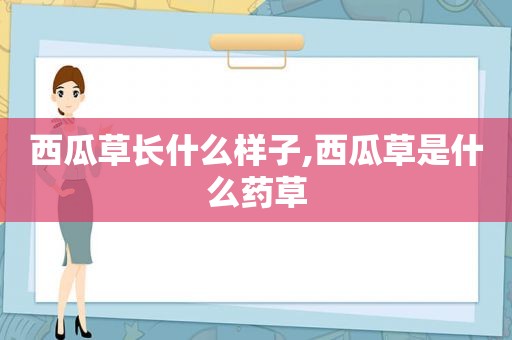 西瓜草长什么样子,西瓜草是什么药草