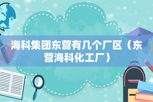 海科集团东营有几个厂区（东营海科化工厂）