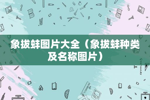 象拔蚌图片大全（象拔蚌种类及名称图片）