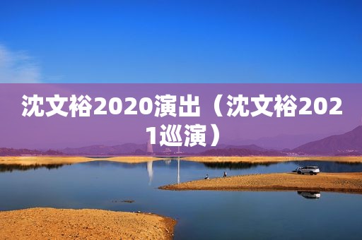 沈文裕2020演出（沈文裕2021巡演）