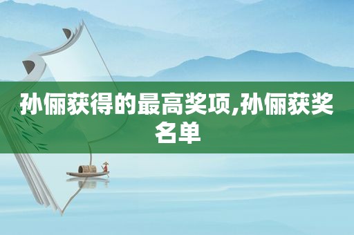 孙俪获得的最高奖项,孙俪获奖名单