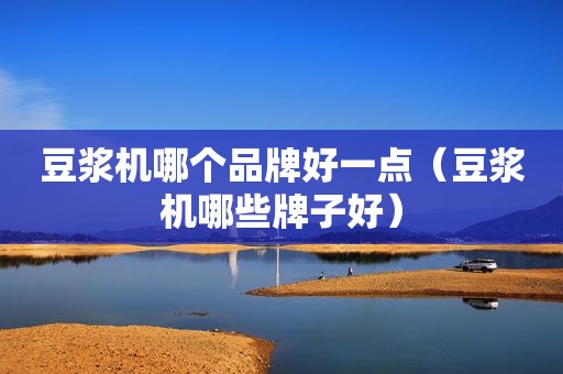 豆浆机哪个品牌好一点（豆浆机哪些牌子好）