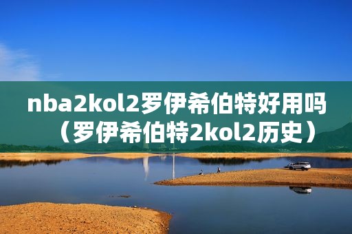 nba2kol2罗伊希伯特好用吗（罗伊希伯特2kol2历史）
