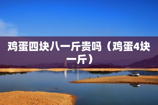 鸡蛋四块八一斤贵吗（鸡蛋4块一斤）