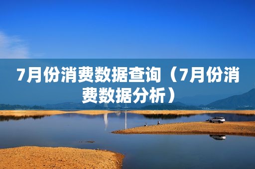 7月份消费数据查询（7月份消费数据分析）