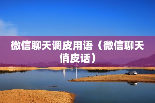 微信聊天调皮用语（微信聊天俏皮话）