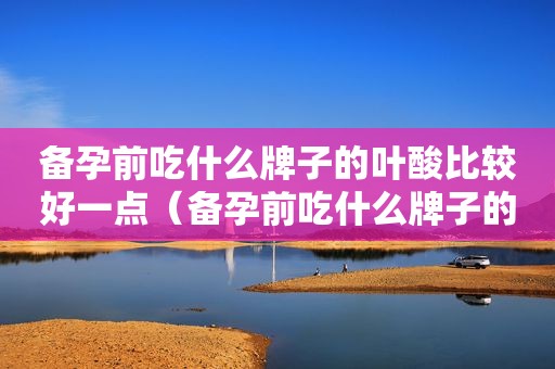 备孕前吃什么牌子的叶酸比较好一点（备孕前吃什么牌子的叶酸比较好吸收）