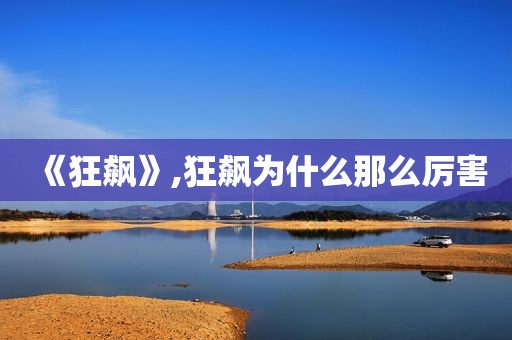《狂飙》,狂飙为什么那么厉害