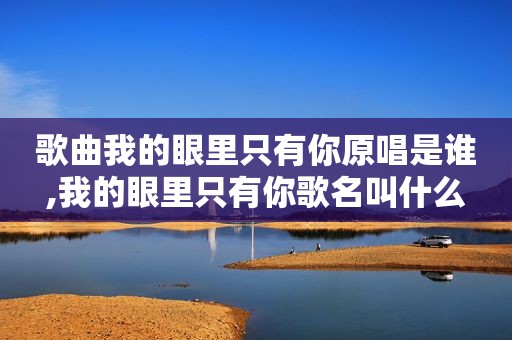 歌曲我的眼里只有你原唱是谁,我的眼里只有你歌名叫什么