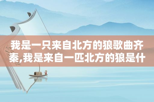 我是一只来自北方的狼歌曲齐秦,我是来自一匹北方的狼是什么歌