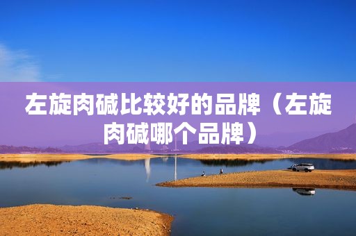 左旋肉碱比较好的品牌（左旋肉碱哪个品牌）