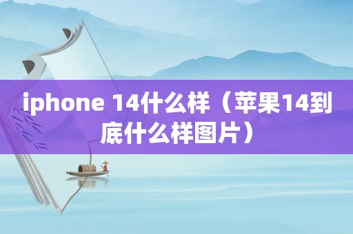 iphone 14什么样（苹果14到底什么样图片）