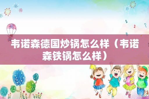 韦诺森德国炒锅怎么样（韦诺森铁锅怎么样）
