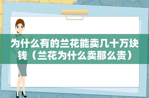 为什么有的兰花能卖几十万块钱（兰花为什么卖那么贵）