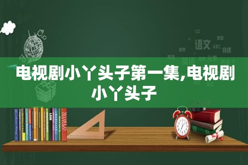 电视剧小丫头子第一集,电视剧小丫头子