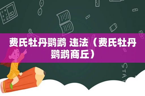 费氏牡丹鹦鹉 违法（费氏牡丹鹦鹉商丘）