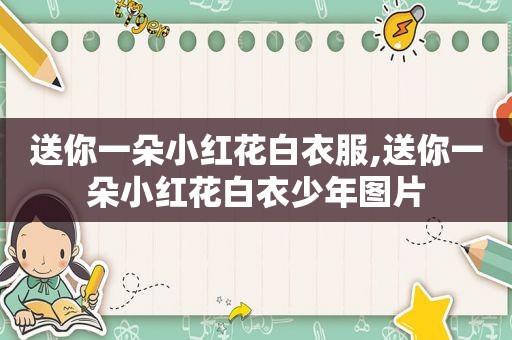 送你一朵小红花白衣服,送你一朵小红花白衣少年图片