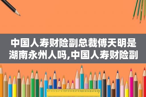 中国人寿财险副总裁傅天明是湖南永州人吗,中国人寿财险副总裁傅天明简历
