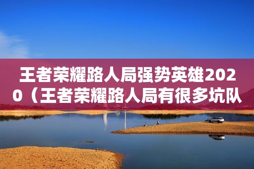 王者荣耀路人局强势英雄2020（王者荣耀路人局有很多坑队友）