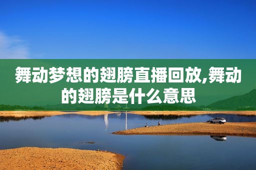 舞动梦想的翅膀直播回放,舞动的翅膀是什么意思