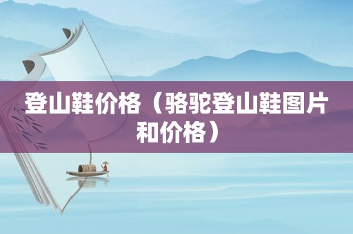 登山鞋价格（骆驼登山鞋图片和价格）