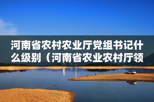 河南省农村农业厅党组书记什么级别（河南省农业农村厅领导）