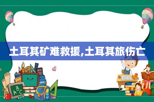 土耳其矿难救援,土耳其旅伤亡