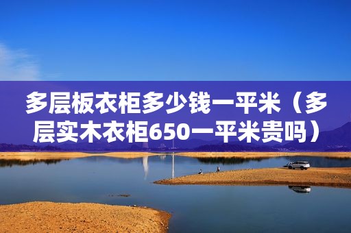 多层板衣柜多少钱一平米（多层实木衣柜650一平米贵吗）