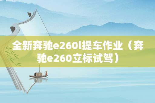 全新奔驰e260l提车作业（奔驰e260立标试驾）