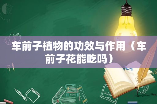 车前子植物的功效与作用（车前子花能吃吗）