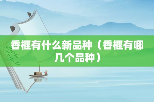香榧有什么新品种（香榧有哪几个品种）