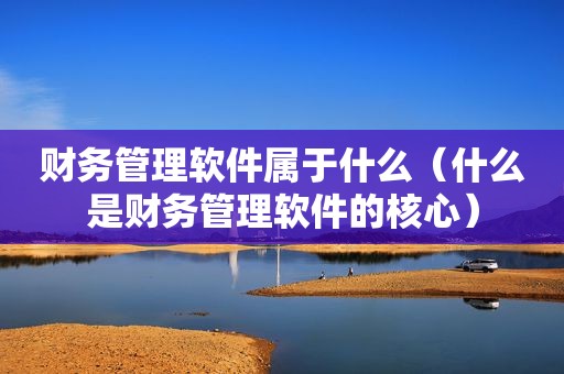财务管理软件属于什么（什么是财务管理软件的核心）