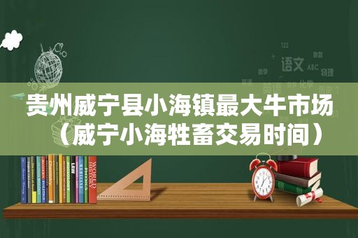 贵州威宁县小海镇最大牛市场（威宁小海牲畜交易时间）