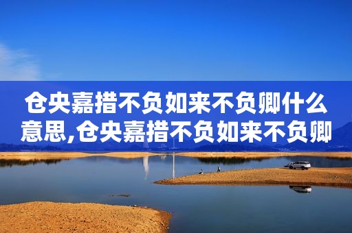 仓央嘉措不负如来不负卿什么意思,仓央嘉措不负如来不负卿全诗