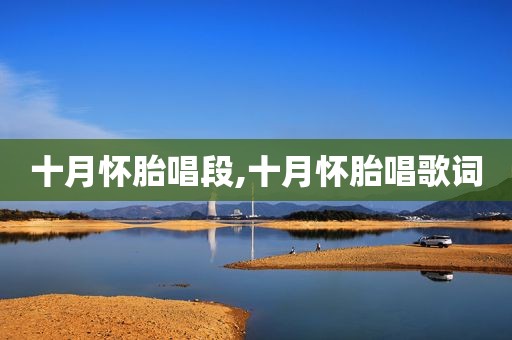 十月怀胎唱段,十月怀胎唱歌词