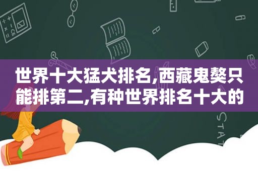 世界十大猛犬排名, *** 鬼獒只能排第二,有种世界排名十大的猛犬