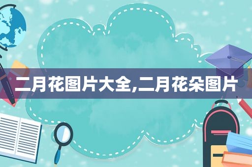 二月花图片大全,二月花朵图片