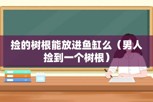 捡的树根能放进鱼缸么（男人捡到一个树根）