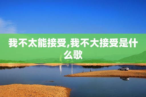 我不太能接受,我不大接受是什么歌