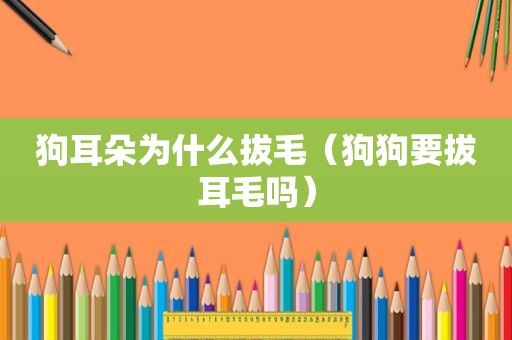 狗耳朵为什么拔毛（狗狗要拔耳毛吗）