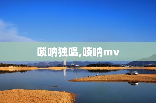 唢呐独唱,唢呐mv