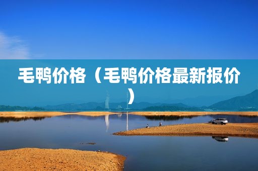 毛鸭价格（毛鸭价格最新报价）
