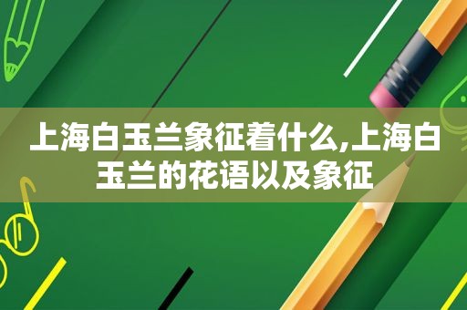上海白玉兰象征着什么,上海白玉兰的花语以及象征