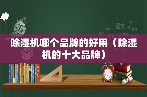 除湿机哪个品牌的好用（除湿机的十大品牌）