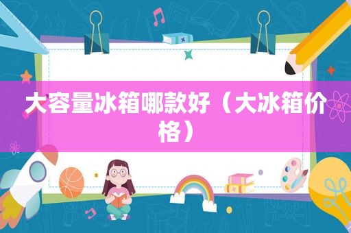 大容量冰箱哪款好（大冰箱价格）