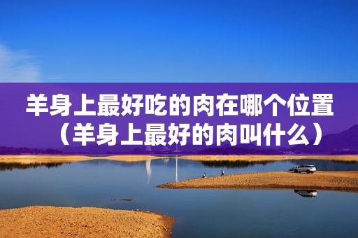 羊身上最好吃的肉在哪个位置（羊身上最好的肉叫什么）