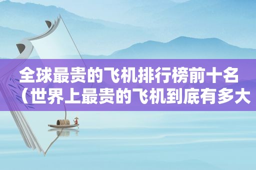 全球最贵的飞机排行榜前十名（世界上最贵的飞机到底有多大）