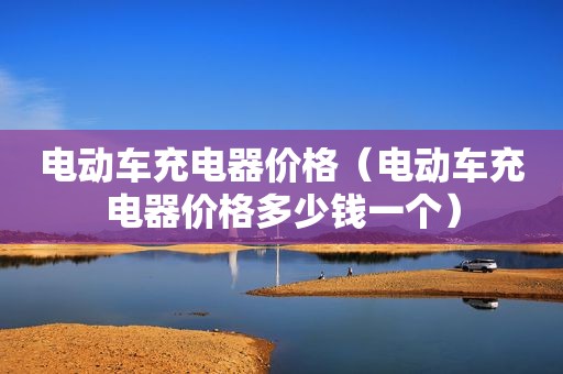电动车充电器价格（电动车充电器价格多少钱一个）