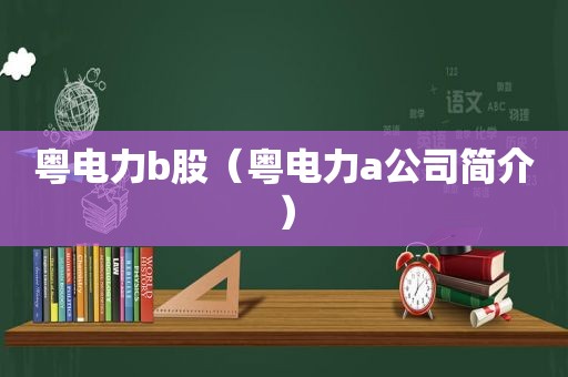 粤电力b股（粤电力a公司简介）